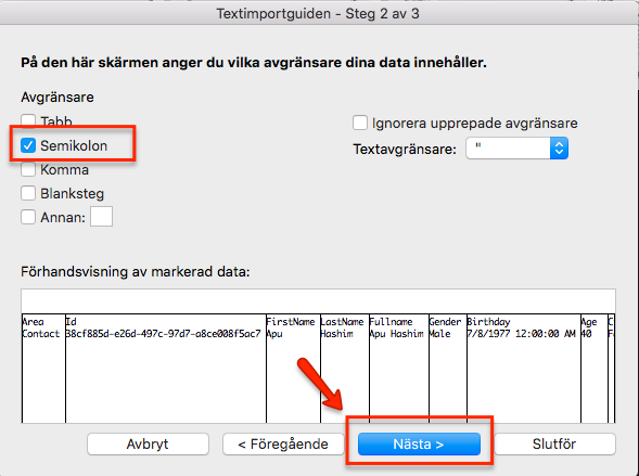 Select a semicolon as delimiter